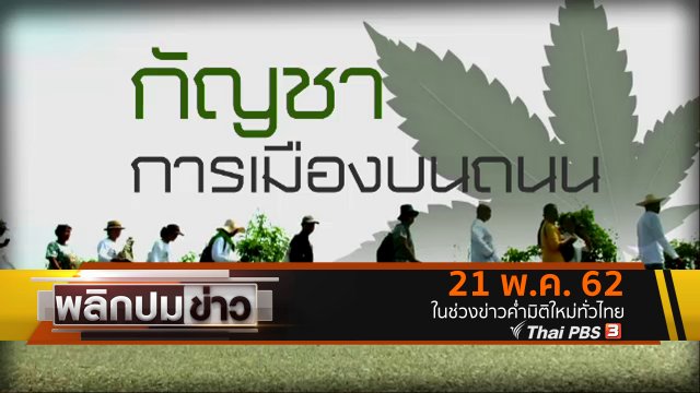 กัญชา การเมืองบนถนน