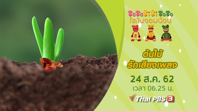 ต้นไม้รักเสียงเพลง