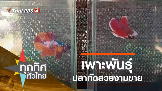 ประเด็นข่าว (12 ก.ย. 62)