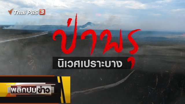 ป่าพรุ นิเวศเปราะบาง