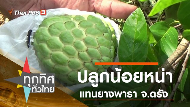 ประเด็นข่าว (16 ก.ย. 62)
