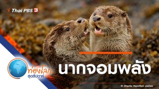 ท่องโลกสุดสัปดาห์
(Rerun)