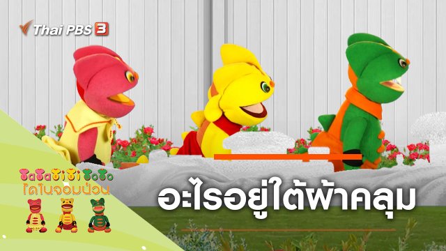 อะไรอยู่ใต้ผ้าคลุม