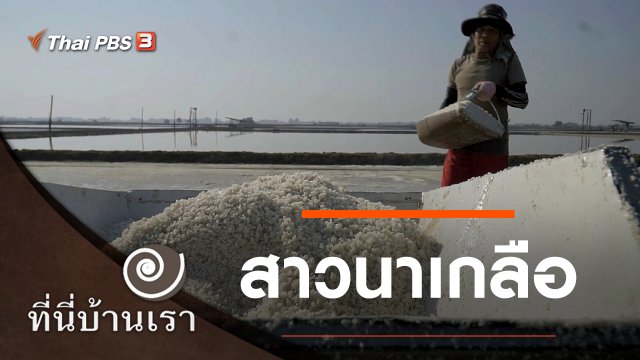 สาวนาเกลือ