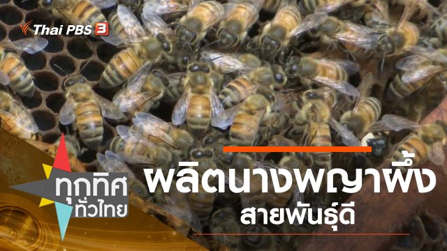 ประเด็นข่าว (25 ธ.ค. 62)