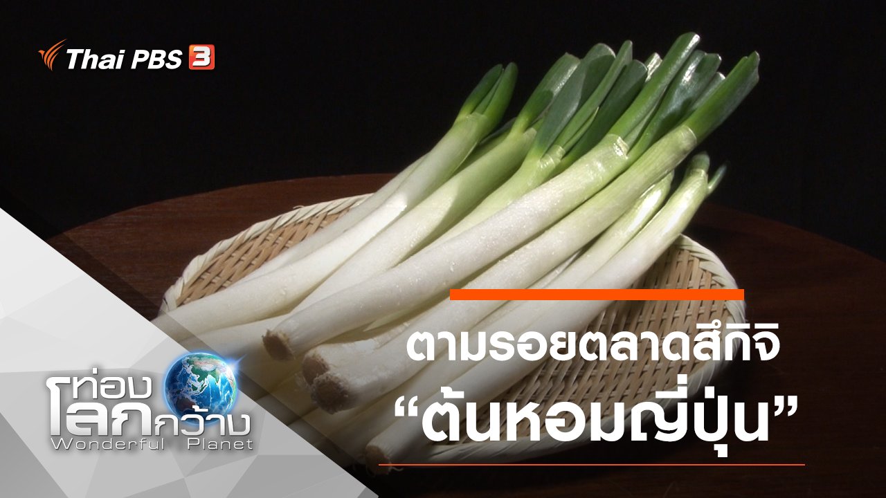 ท่องโลกกว้าง - ตามรอยตลาดสึกิจิ ตอน ต้นหอมญี่ปุ่น