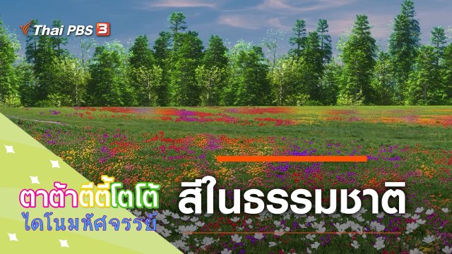 สีในธรรมชาติ