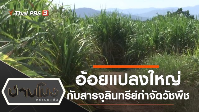 ประเด็นข่าว (29 ต.ค. 62)