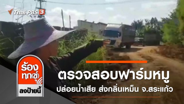 ตรวจสอบฟาร์มหมูปล่อยน้ำเสีย ส่งกลิ่นเหม็น จ.สระแก้ว