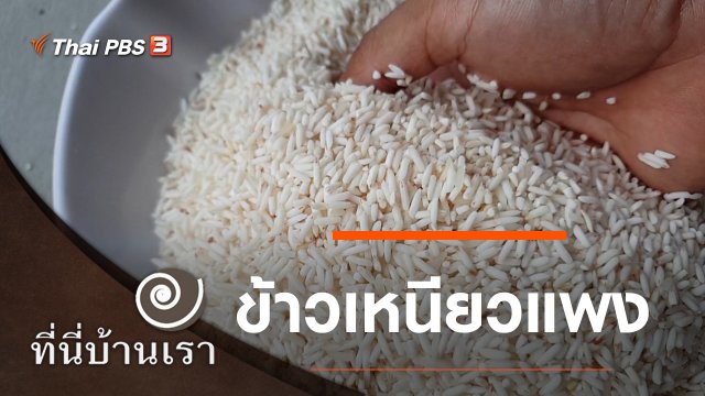 ข้าวเหนียวแพง