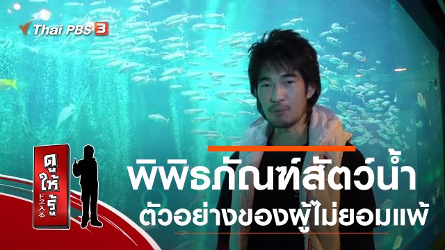 พิพิธภัณฑ์สัตว์น้ำ ตัวอย่างของผู้ไม่ยอมแพ้