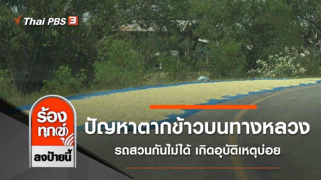 ปัญหาตากข้าวบนทางหลวง รถสวนกันไม่ได้ เกิดอุบัติเหตุบ่อย จ.นครราชสีมา