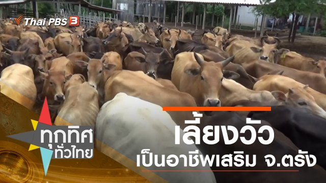 ประเด็นข่าว (13 พ.ย. 62)