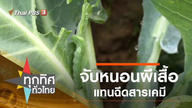 ประเด็นข่าว (18 พ.ย. 62)
