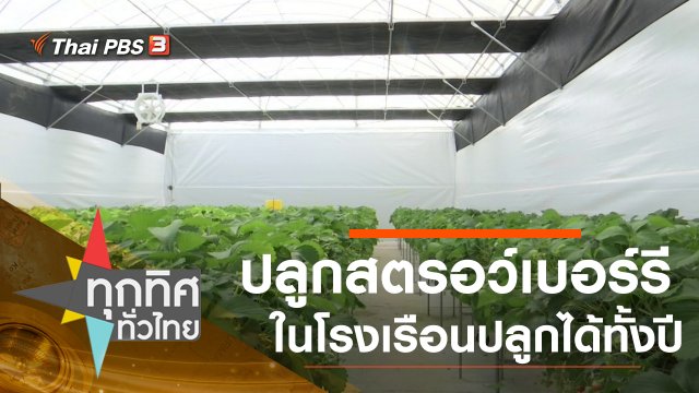 ประเด็นข่าว (19 พ.ค. 63)