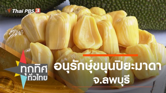 ประเด็นข่าว (25 พ.ค. 63)