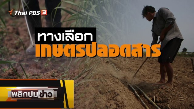 ทางเลือกเกษตรปลอดสาร