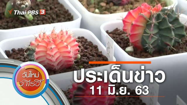 ประเด็นข่าว (11 มิ.ย. 63)