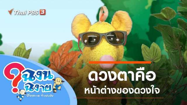 ดวงตาคือหน้าต่างของดวงใจ