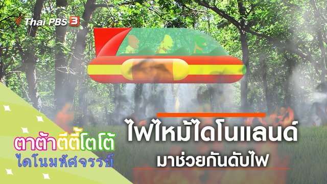 ไฟไหม้ไดโนแลนด์