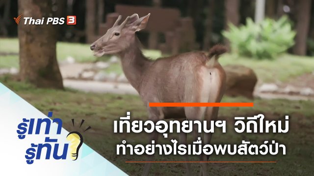 เที่ยวอุทยานฯ วิถีใหม่ ทำอย่างไรเมื่อพบสัตว์ป่า