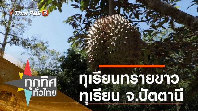 ประเด็นข่าว (1 ก.ค. 63)
