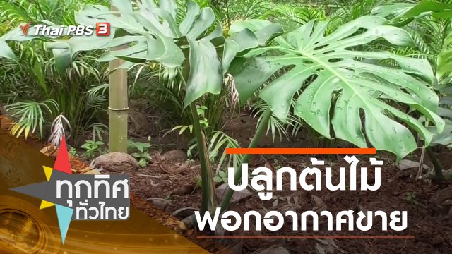 ประเด็นข่าว (15 ก.ค. 63)