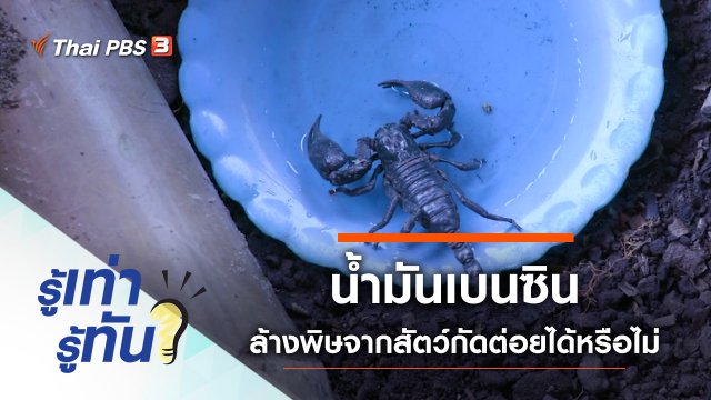น้ำมันเบนซิน ล้างพิษแมลงสัตว์กัดต่อยได้หรือไม่