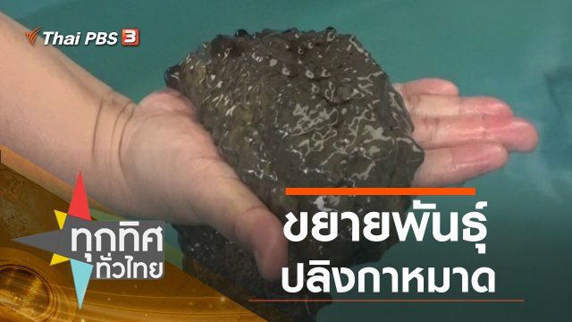 ประเด็นข่าว (16 ก.ค. 63)