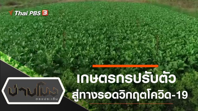 ประเด็นข่าว (2 เม.ย. 63)