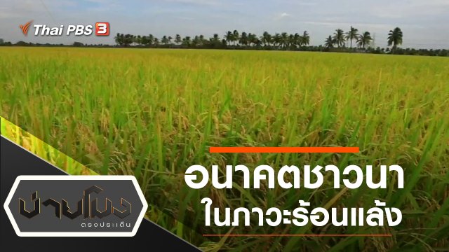 ประเด็นข่าว (21 เม.ย. 63)
