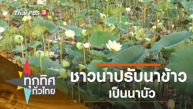 ประเด็นข่าว (7 พ.ค. 63)