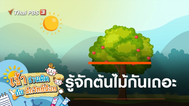 รู้จักต้นไม้กันเถอะ