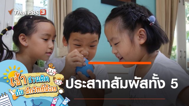 ประสาทสัมผัสทั้ง 5