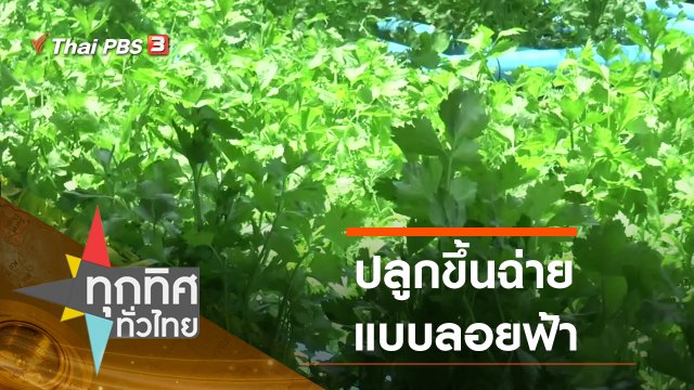 ประเด็นข่าว (3 ส.ค. 63)