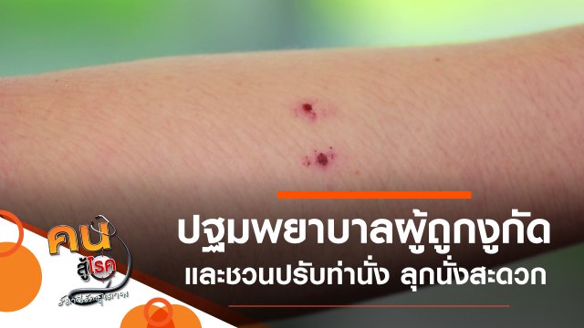 ปฐมพยาบาลผู้ถูกงูกัด, ปรับท่านั่ง ลุกนั่งสะดวก