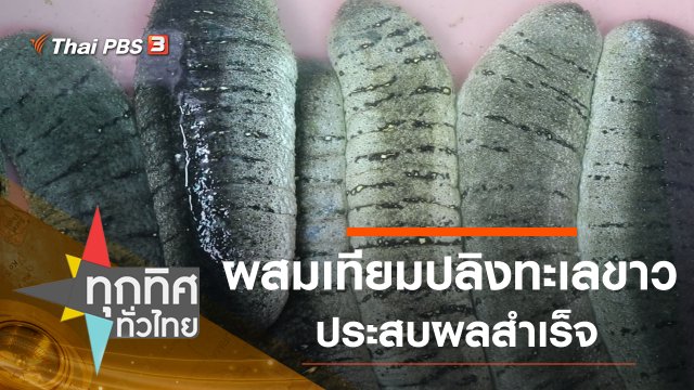 ประเด็นข่าว (6 พ.ย. 63)
