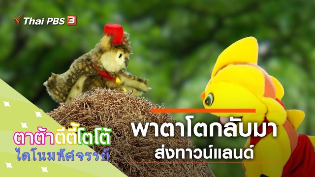 พาตาโตกลับมาส่งทาวน์แลนด์