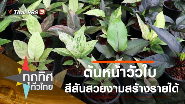 ประเด็นข่าว (10 พ.ย. 63)