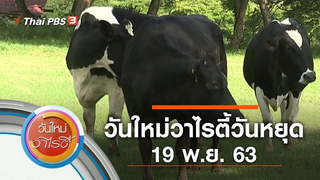 วันใหม่วาไรตี้วันหยุด (19 พ.ย. 63)