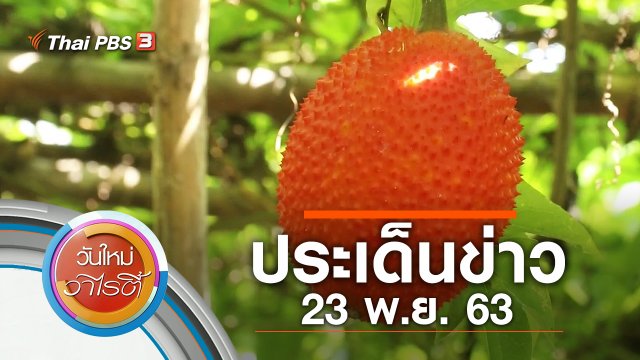 ประเด็นข่าว (23 พ.ย. 63)