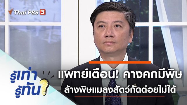 แพทย์เตือน! คางคกมีพิษ ล้างพิษแมลงสัตว์กัดต่อยไม่ได้