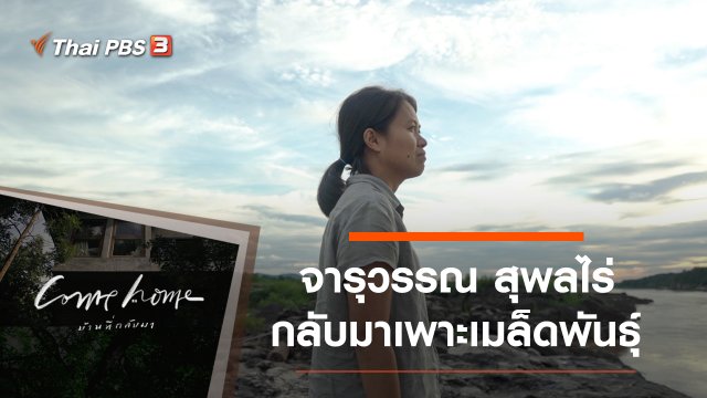 จารุวรรณ สุพลไร่ : กลับมาเพาะเมล็ดพันธุ์