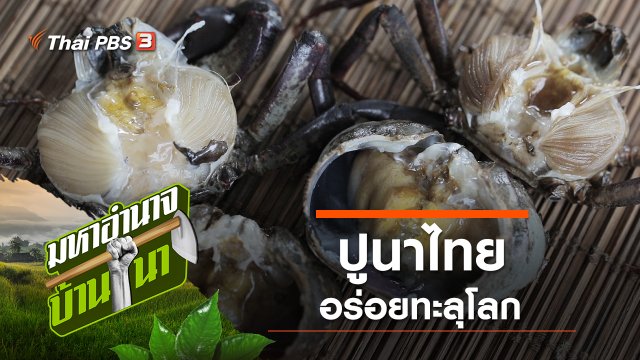 ปูนาไทย อร่อยทะลุโลก