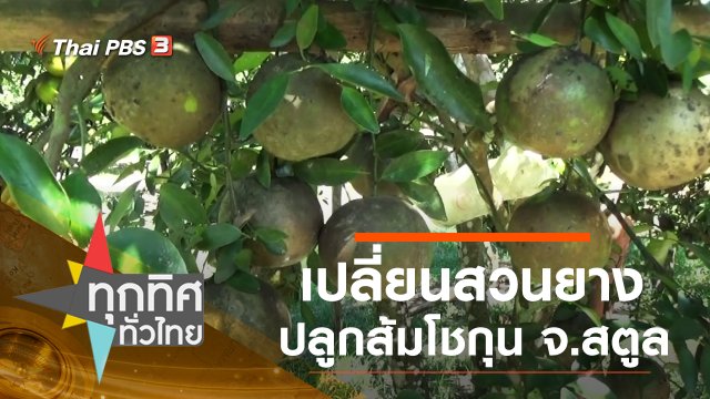 ประเด็นข่าว (17 ธ.ค. 63)