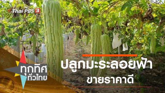 ประเด็นข่าว (21 ธ.ค. 63)