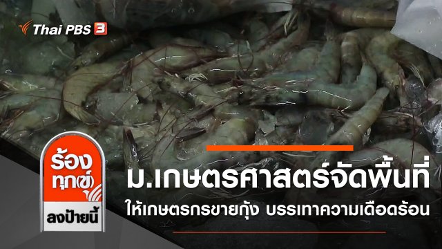 ม.เกษตรศาสตร์จัดพื้นที่ให้เกษตรกรขายกุ้ง บรรเทาความเดือดร้อน