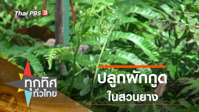 ประเด็นข่าว (11 ม.ค. 64)