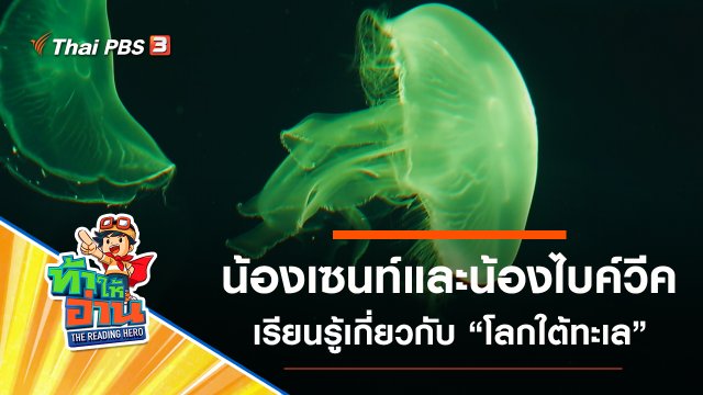 โลกใต้ทะเล : น้องเซนท์และน้องไบค์วีค