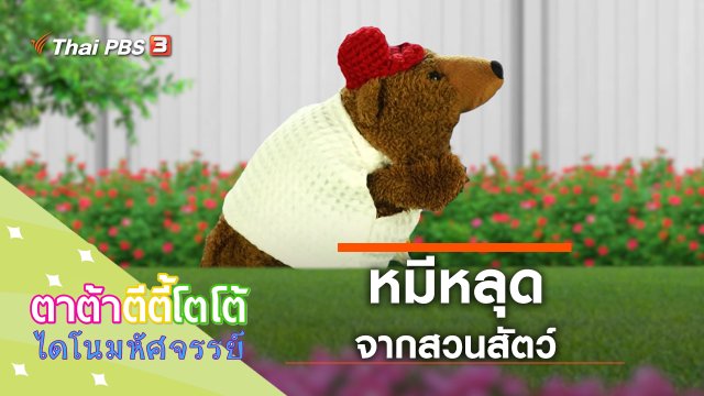 หมีหลุดจากสวนสัตว์